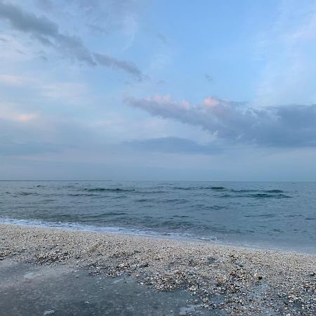 Sunrise Holiday Apartment - Mamaia Nord 那沃达利 外观 照片